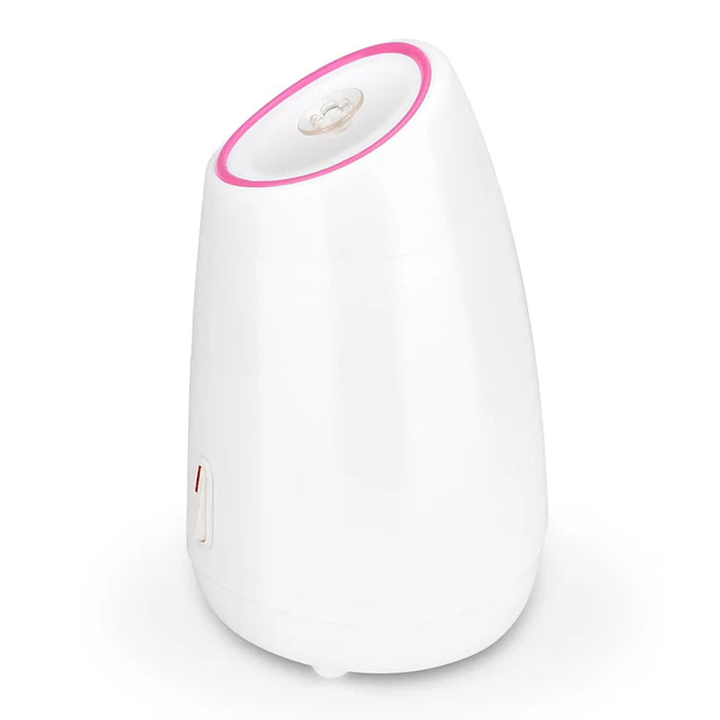 Home Nano Hydrating Mist Heat Beauty Device