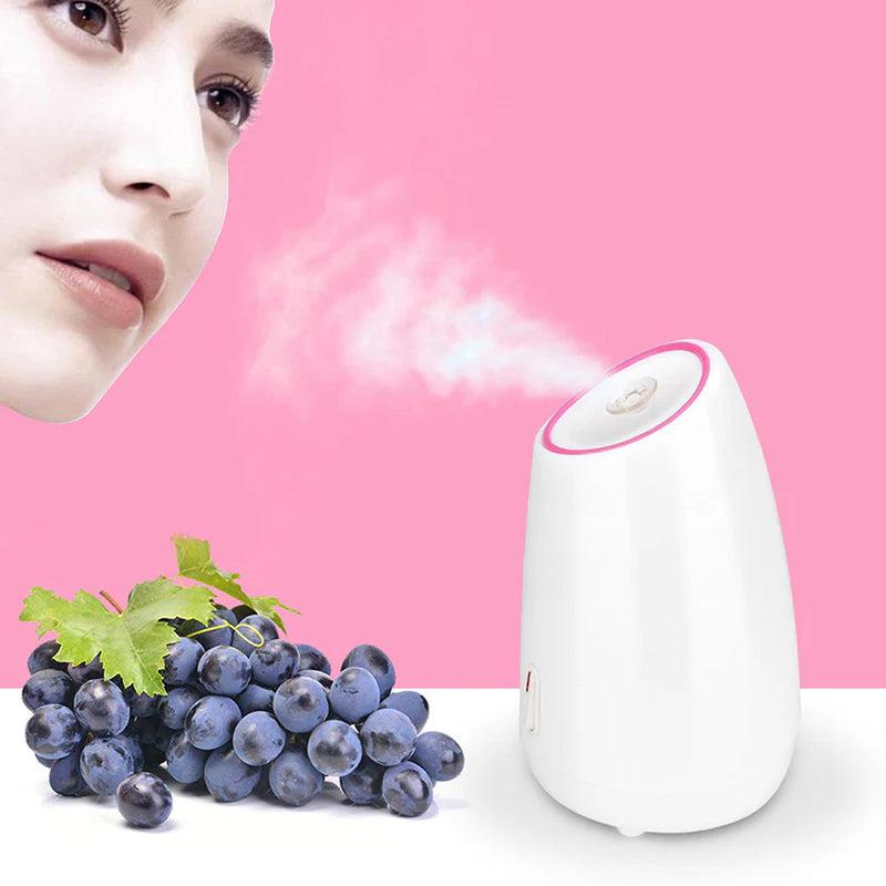 Home Nano Hydrating Mist Heat Beauty Device