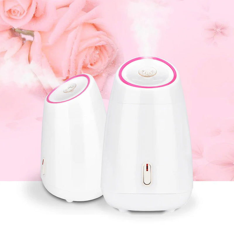 Home Nano Hydrating Mist Heat Beauty Device
